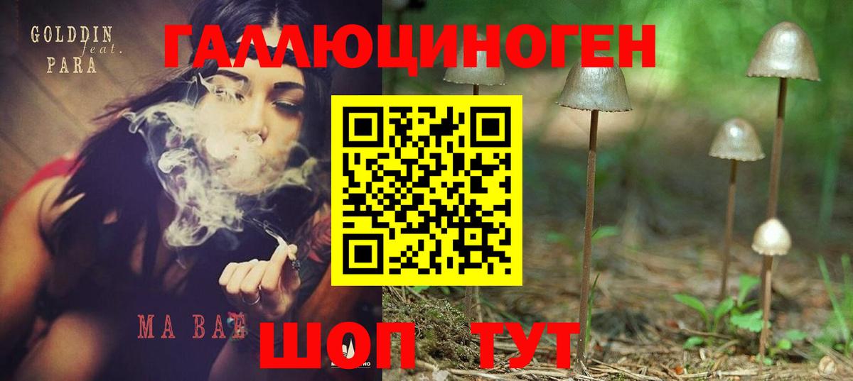 Электрогорск  Псилоцибиновые грибы Psilocybe  Вход с VPN 